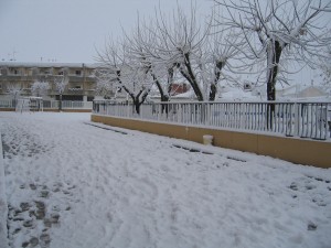 IMG 5488