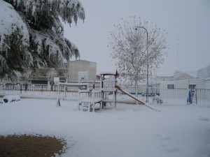 IMG 5493